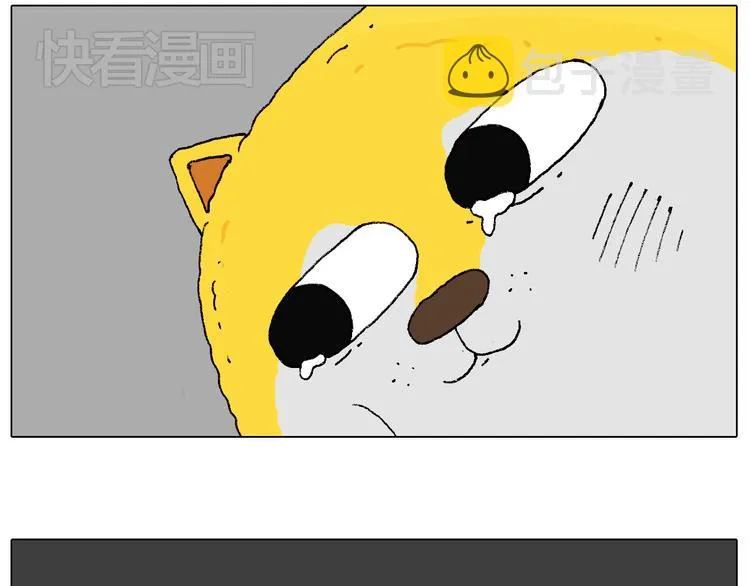 空中滑索 第37页