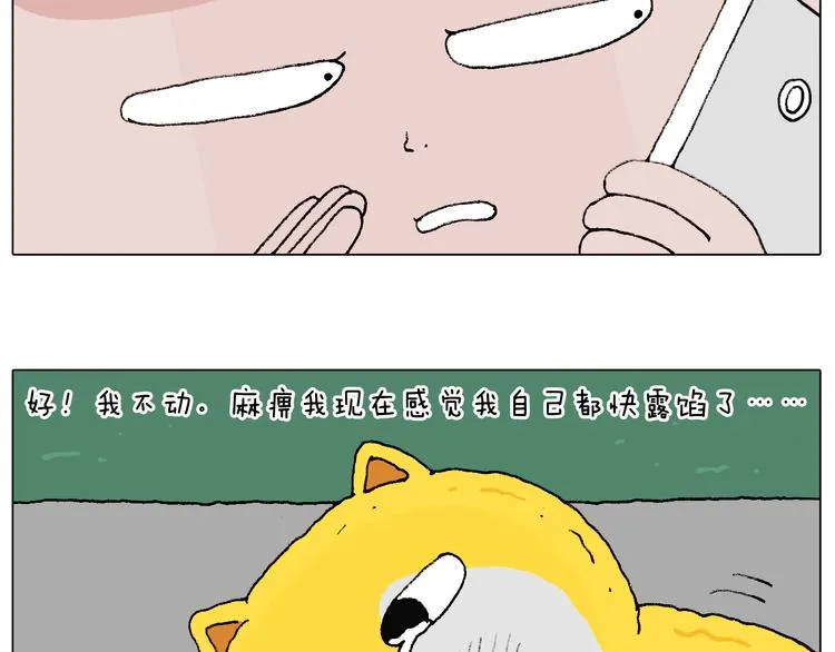 空中滑索 第40页