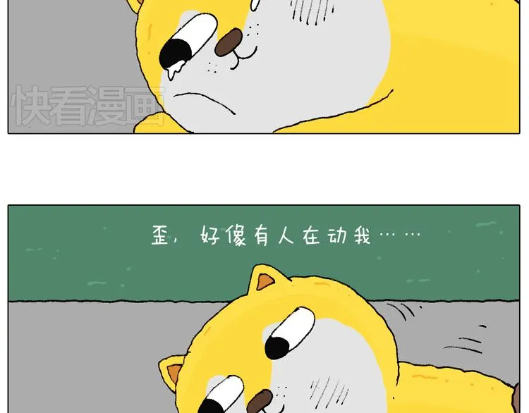 空中滑索 第41页