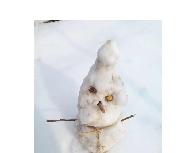 打雪仗 第84页