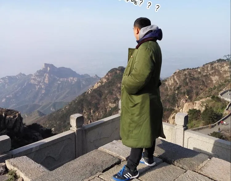 泰山行2 第40页
