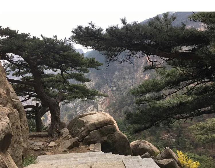 泰山行2 第87页