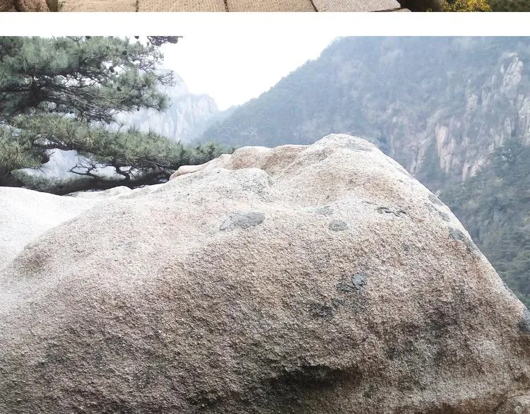 泰山行2 第88页