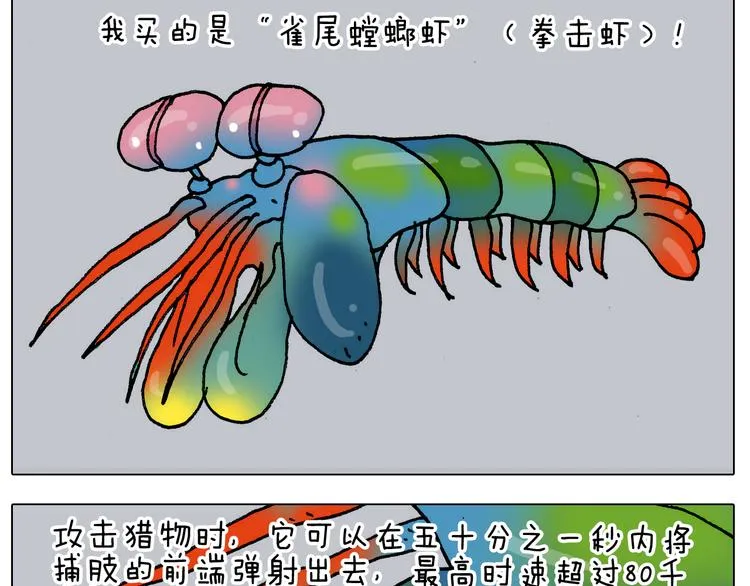 第302话 超级海鲜 第26页