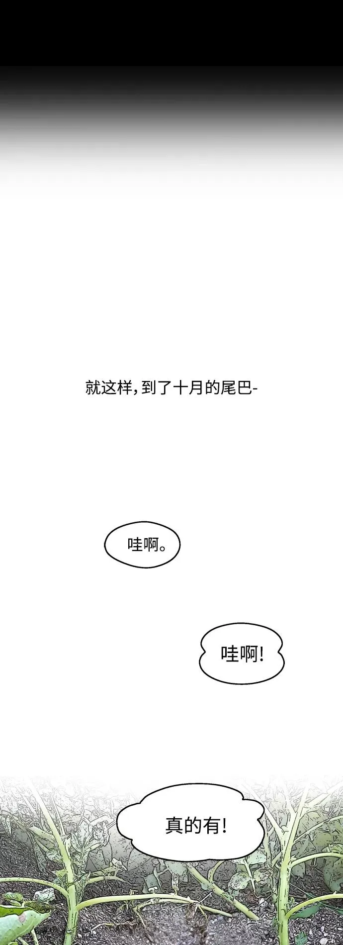 结语 第2页
