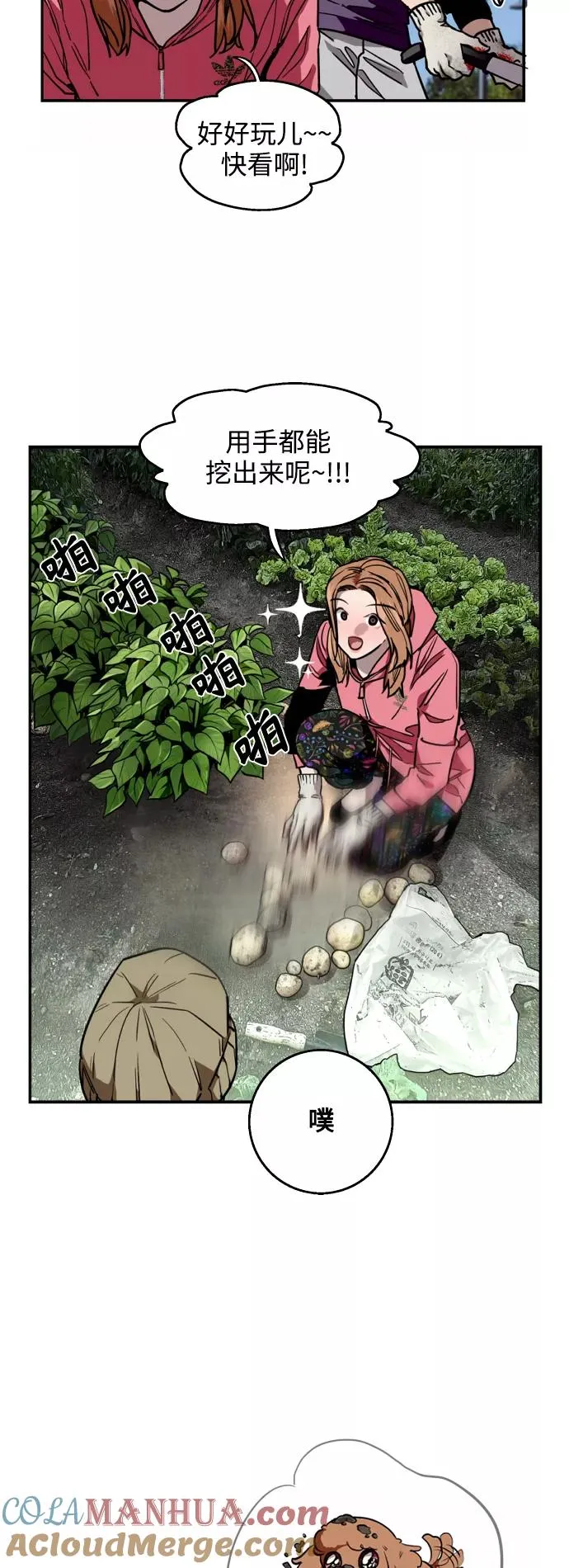 结语 第4页