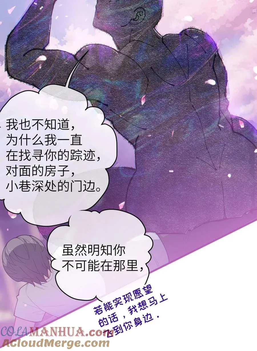 015 呐，你知道樱花飘落的速度吗 第49页