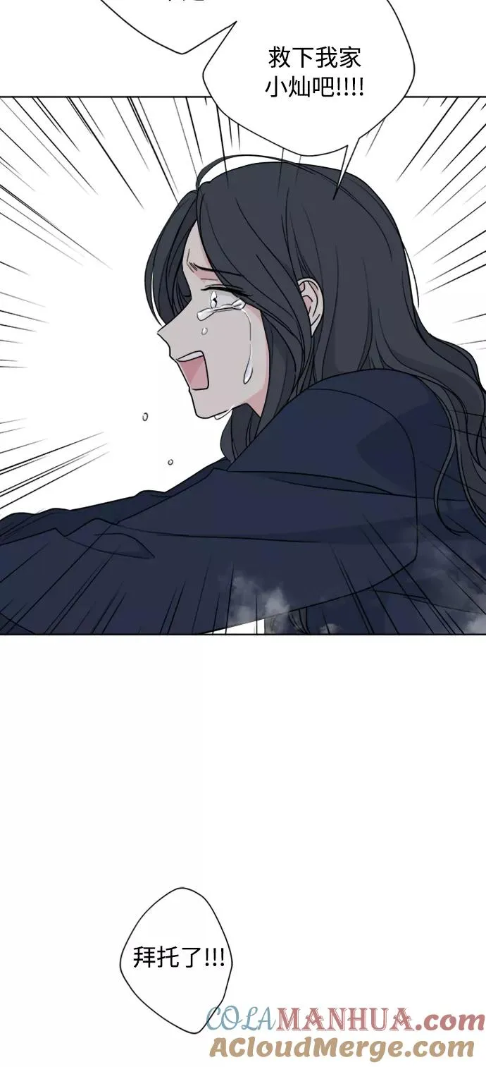 第84话 第19页