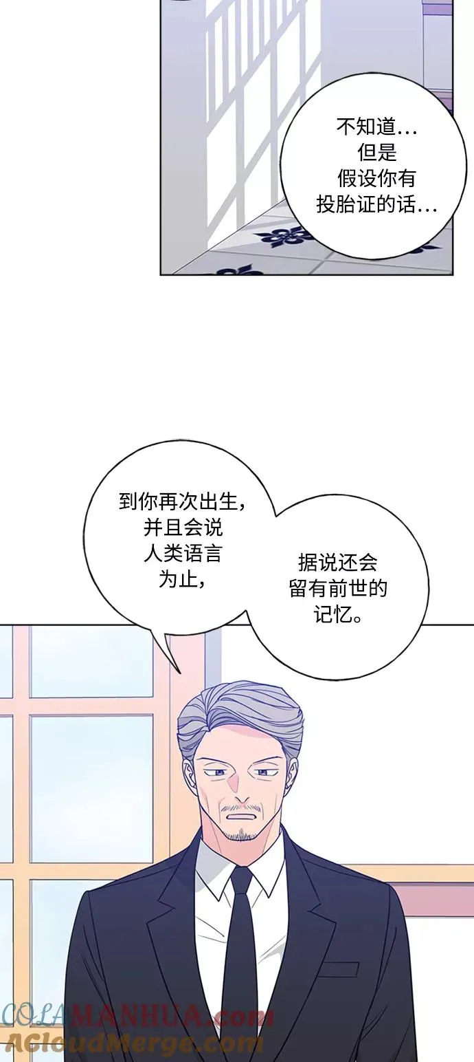 第98话 第61页