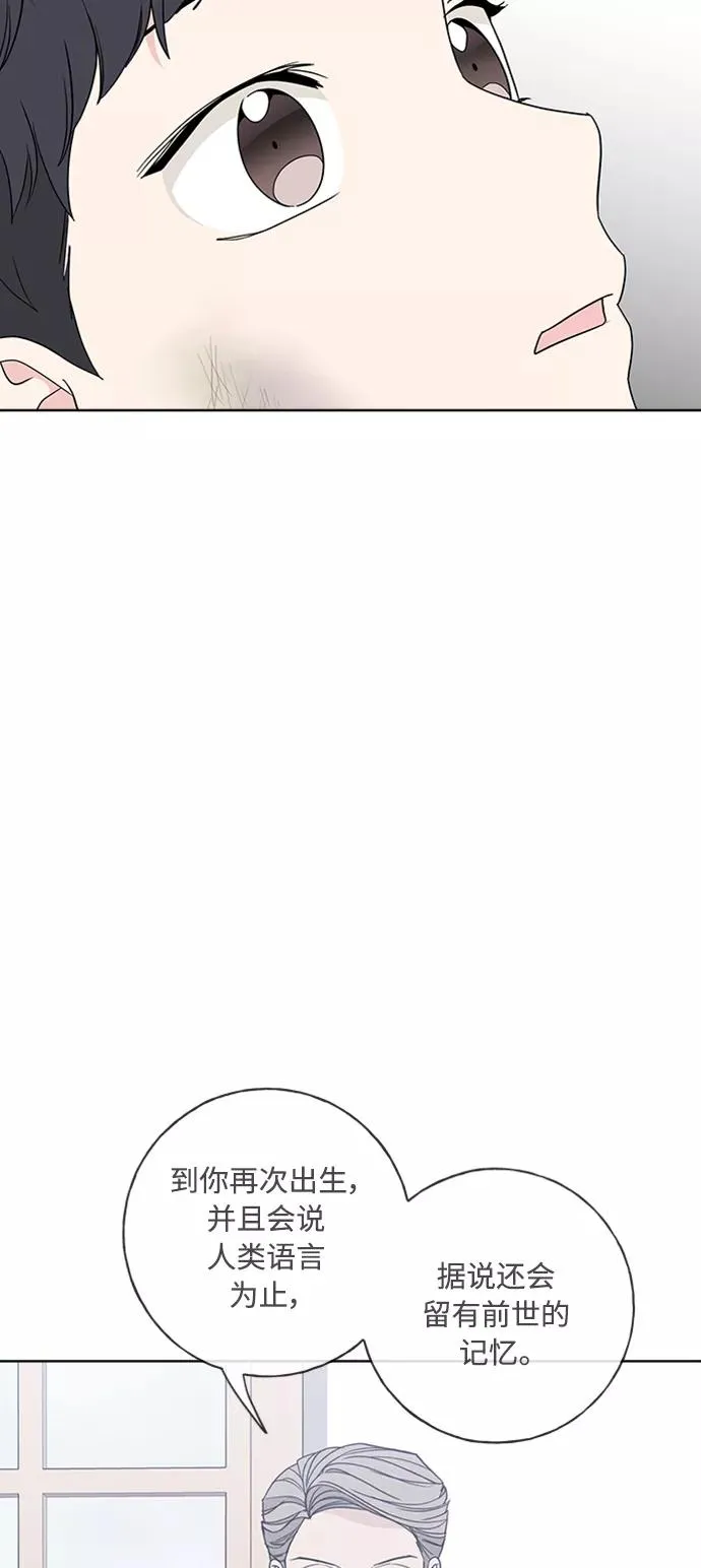 第100话 第5页