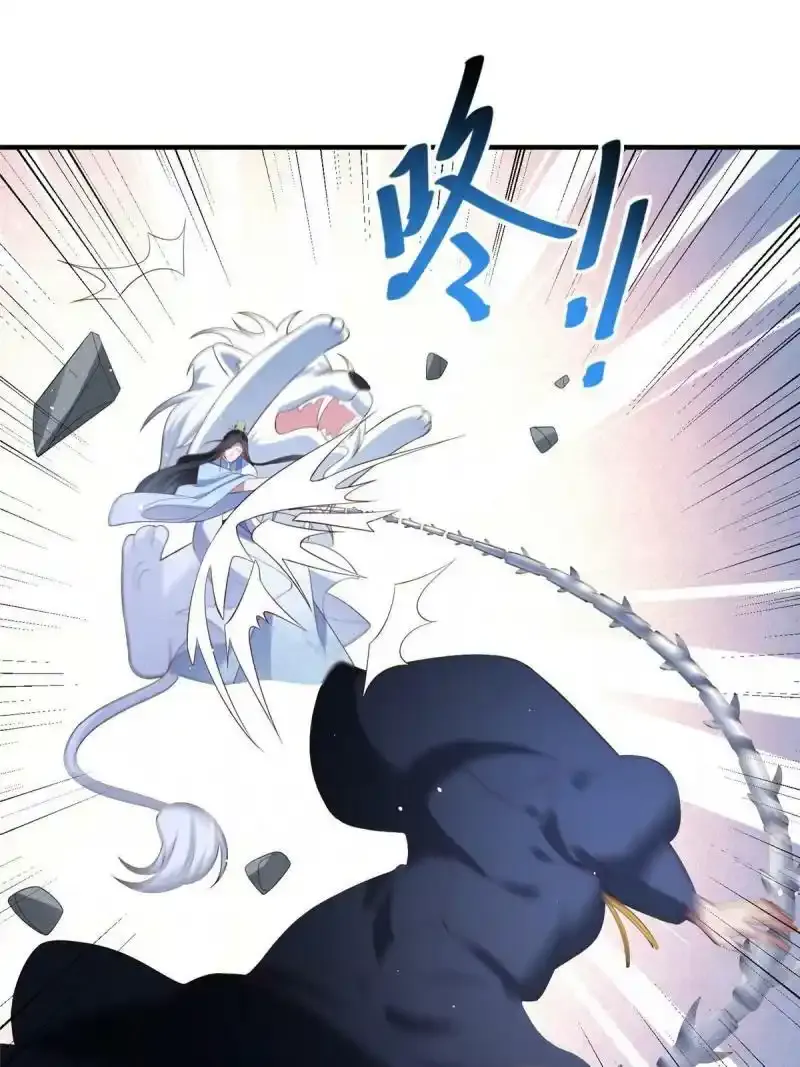 49 第22页