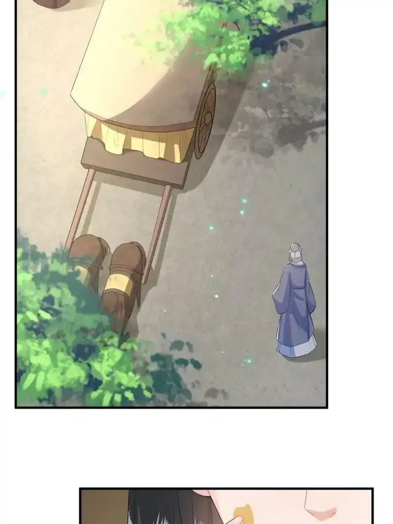 50 第33页