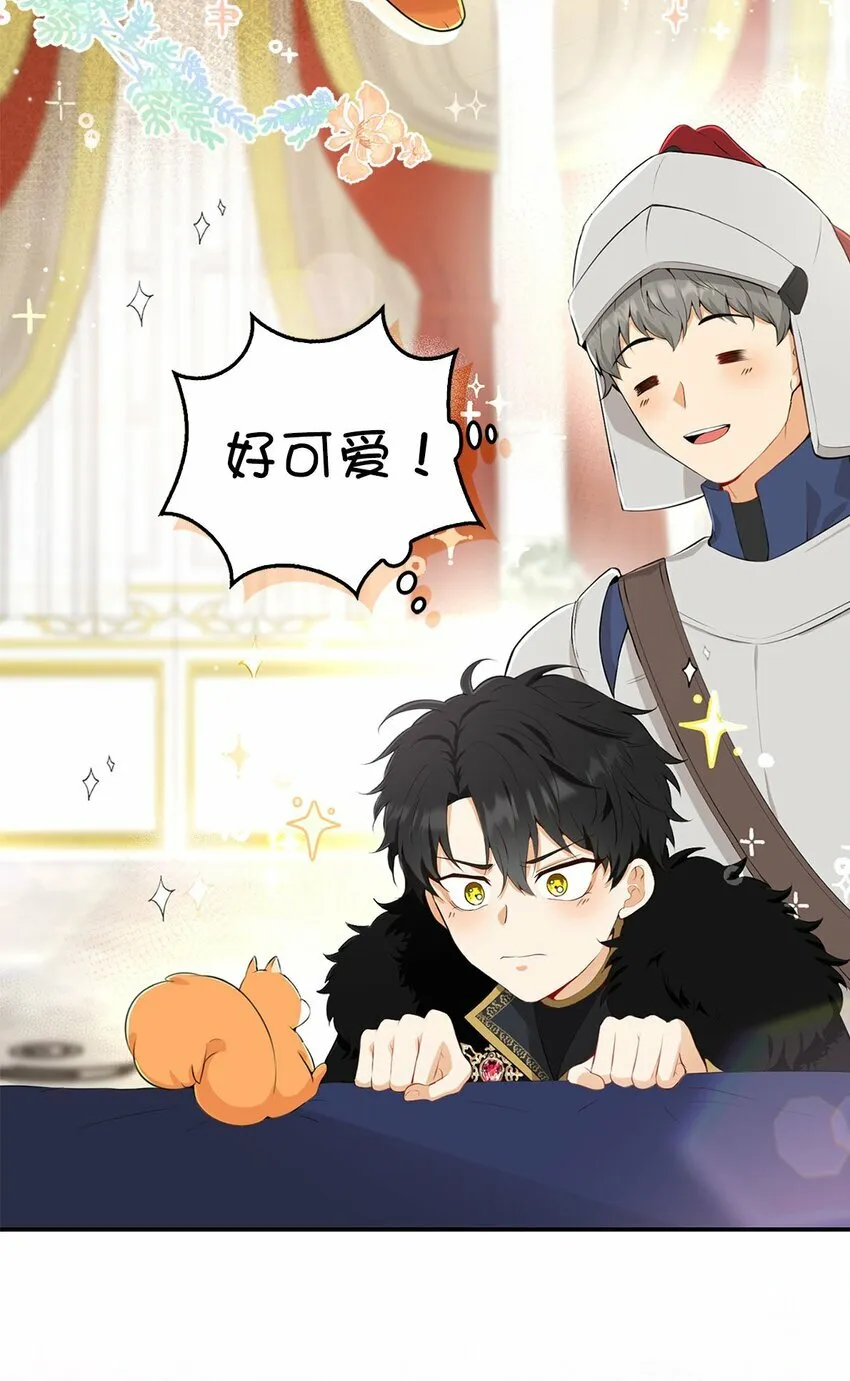 序章 小松鼠冲鸭！ 第27页
