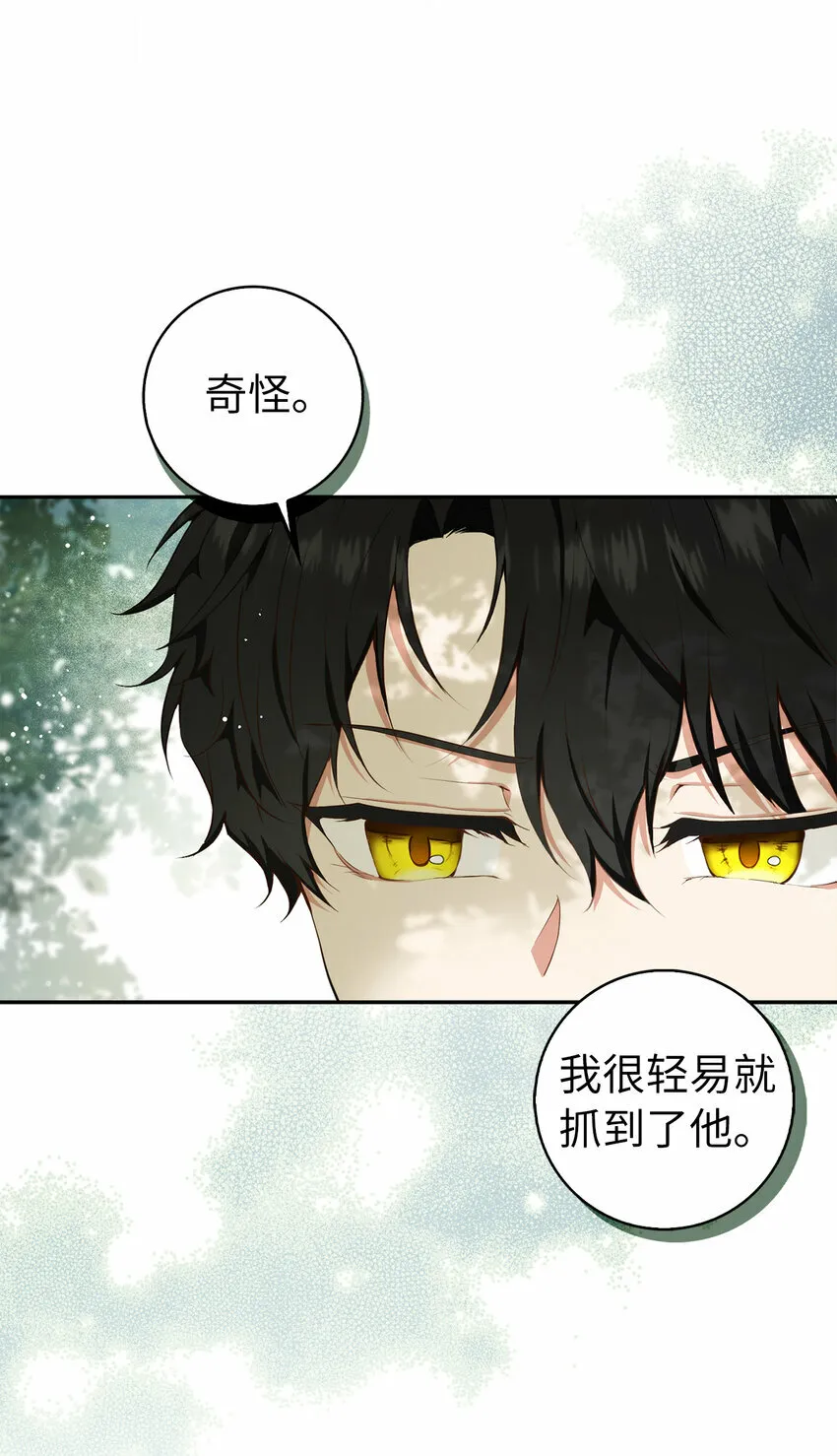 8 奇迹植物 第16页
