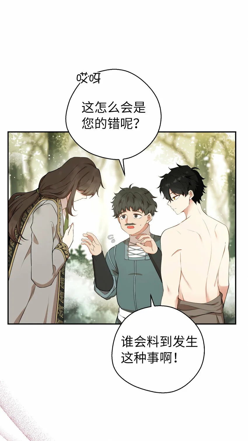 8 奇迹植物 第29页