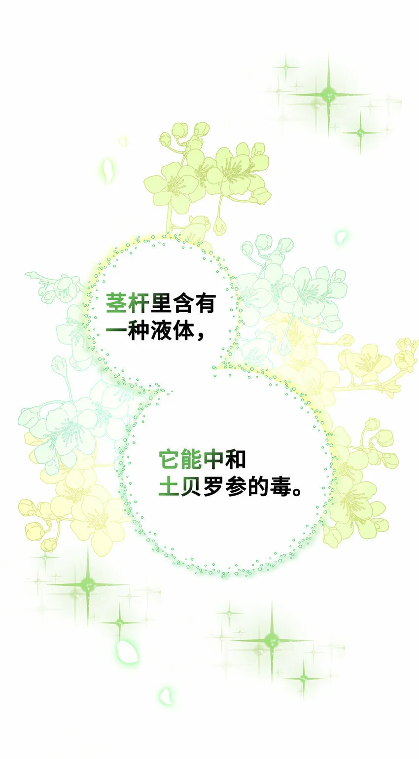 9 小松鼠的锦囊妙计 第16页