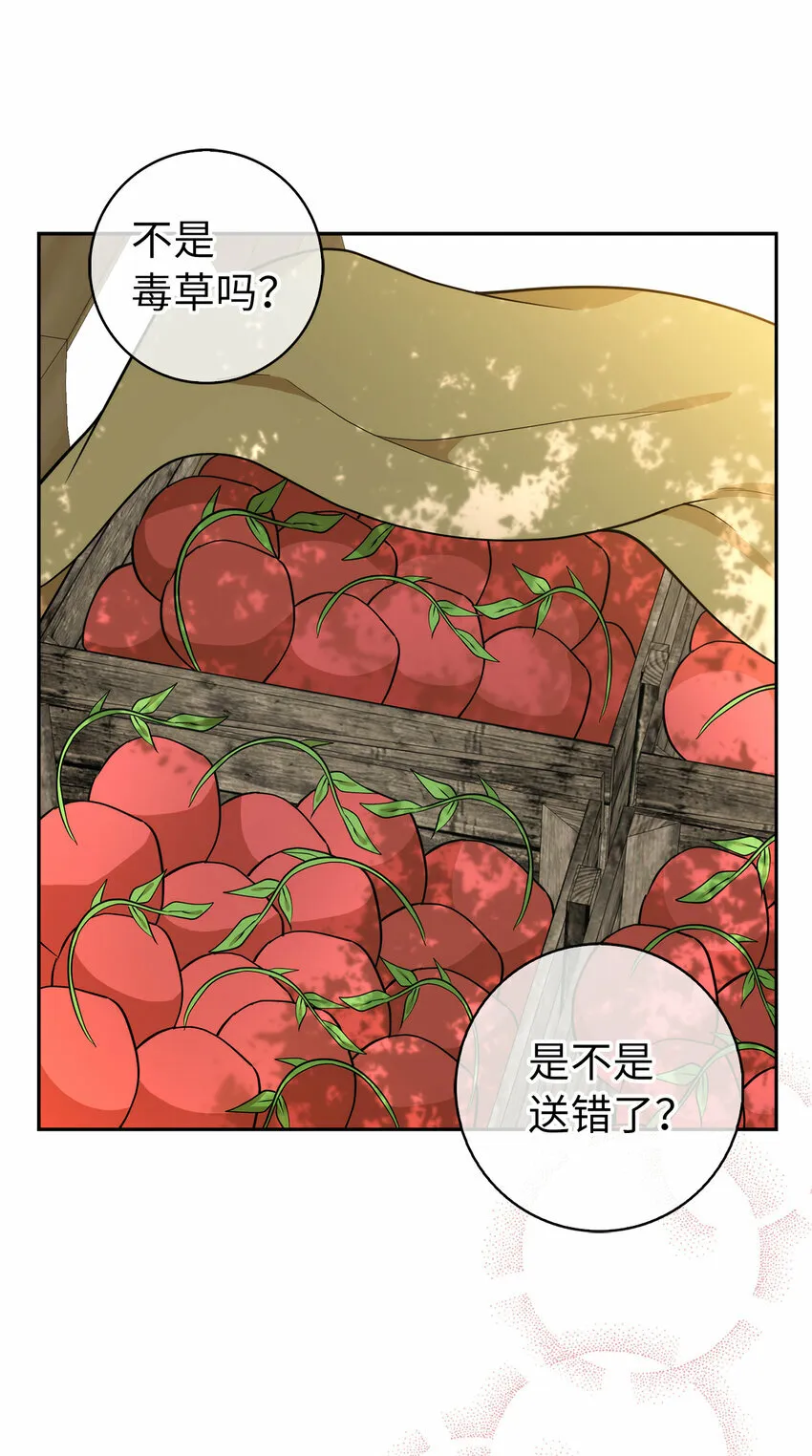 9 小松鼠的锦囊妙计 第45页