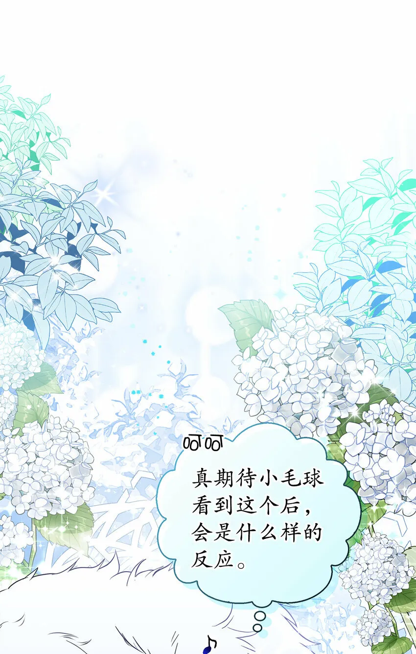 13 星座大人降临 第14页