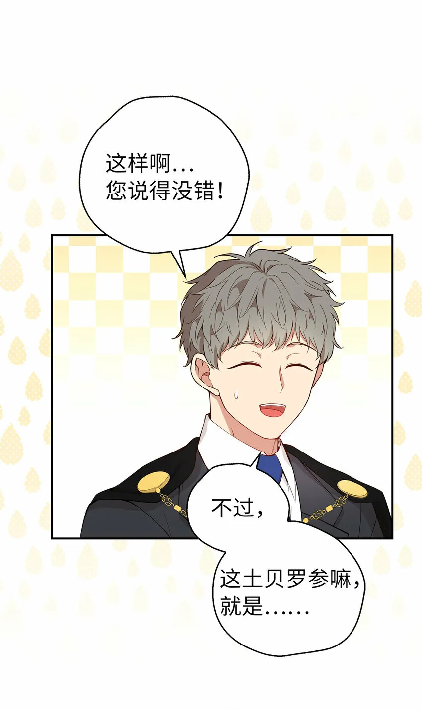19 谈判的筹码 第21页