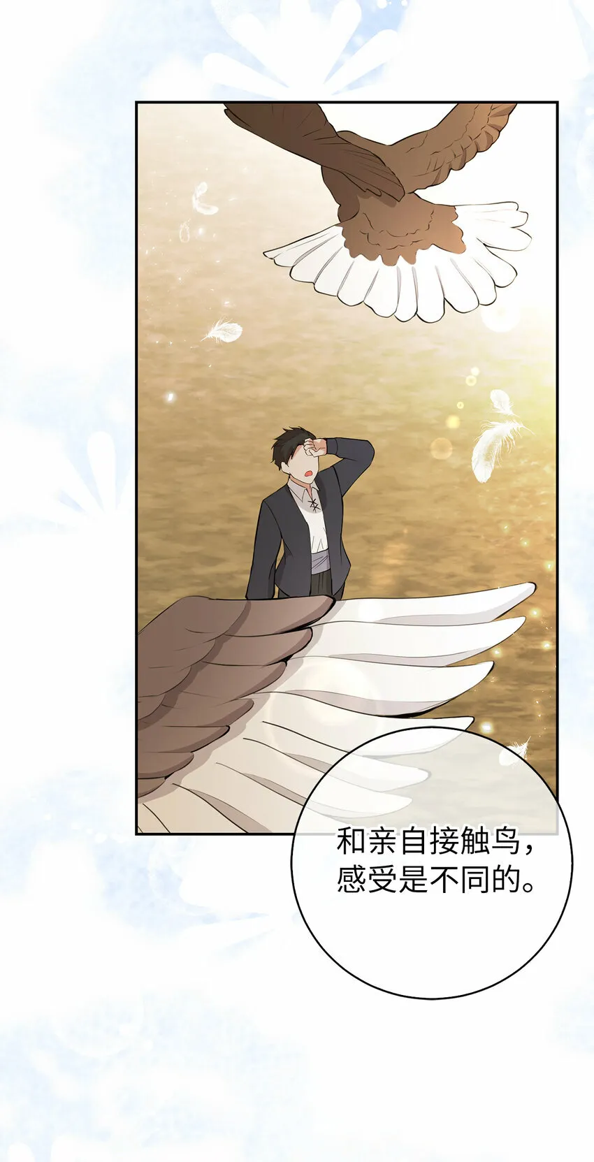 27 完美的方案 第12页