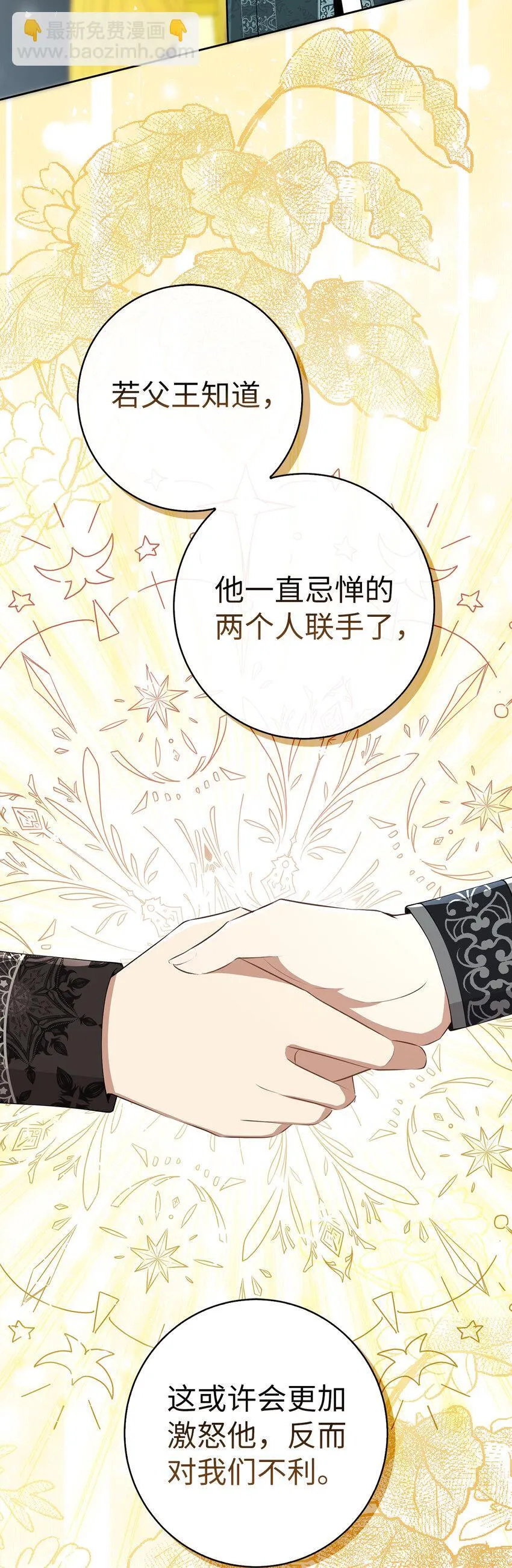 70 结成联盟 第46页
