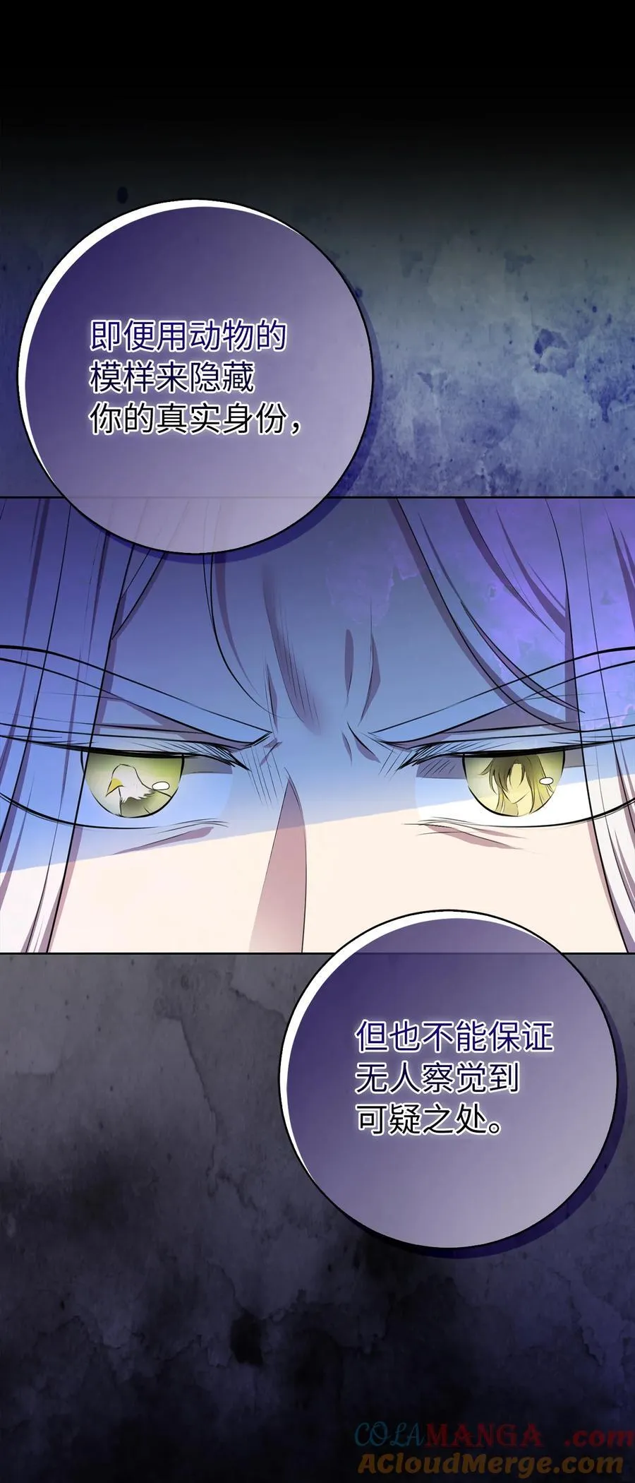 77 复活的原因 第13页