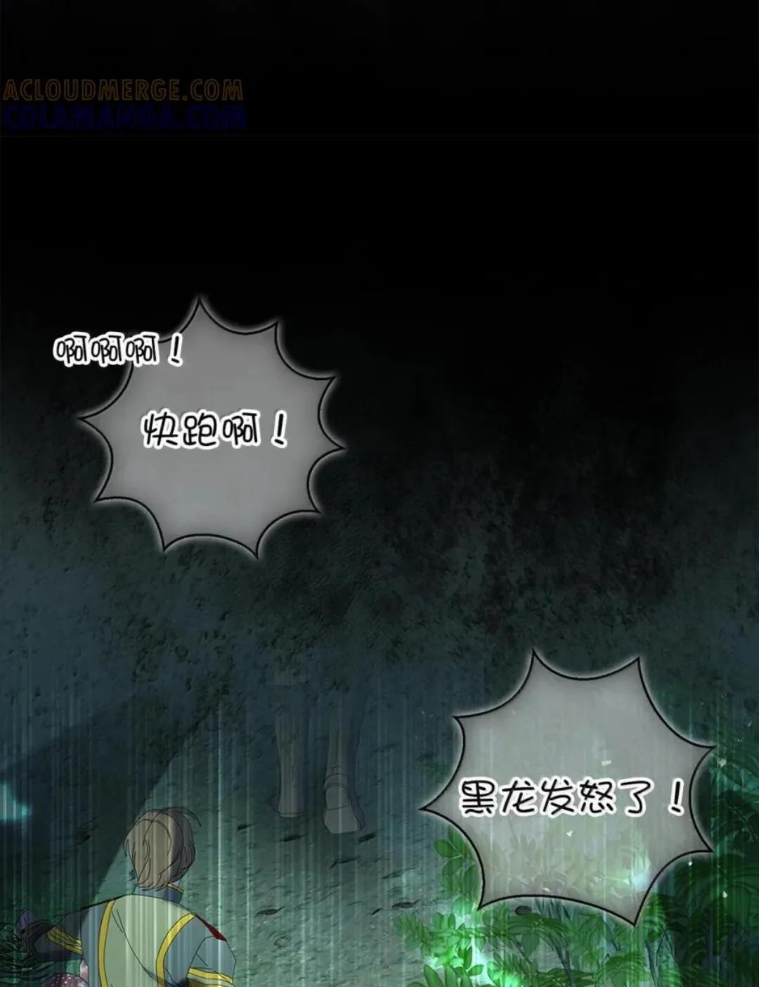 109 黑龙发怒了！ 第94页