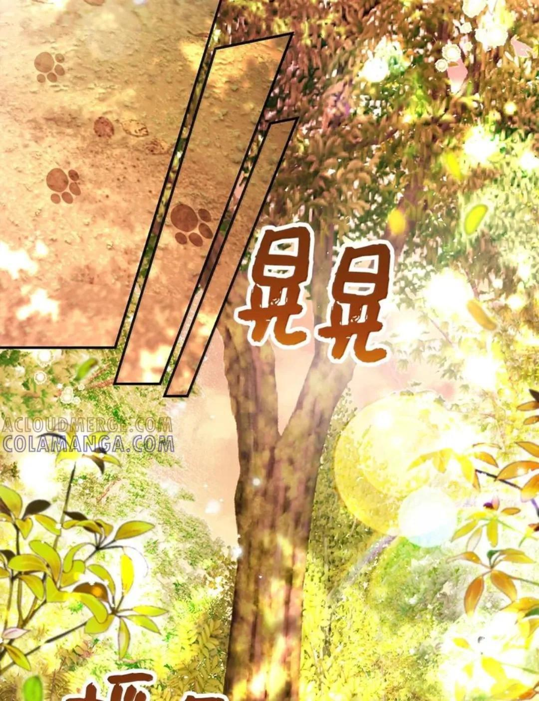 113 不许吼泰尔！ 第20页