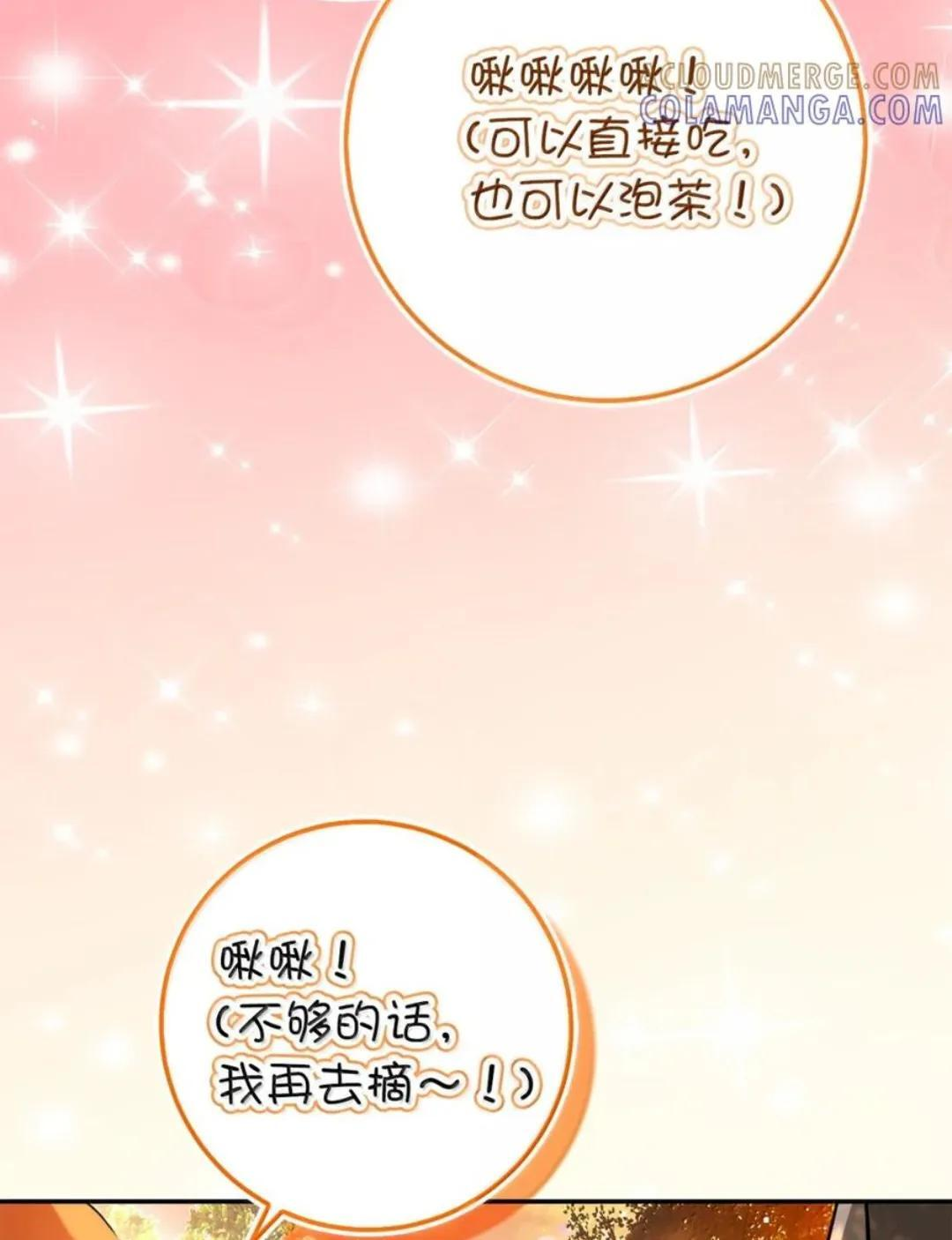 113 不许吼泰尔！ 第34页