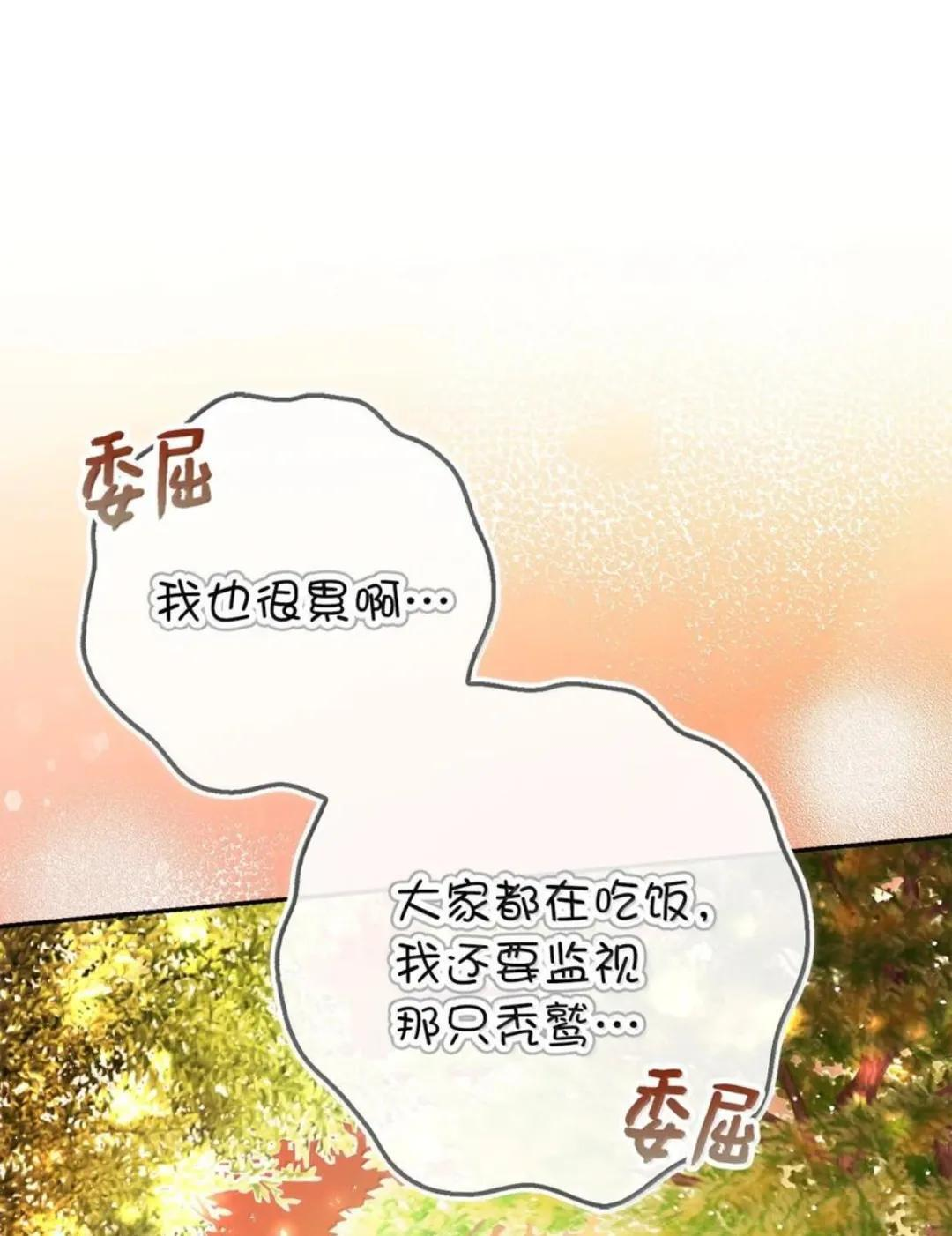 113 不许吼泰尔！ 第46页