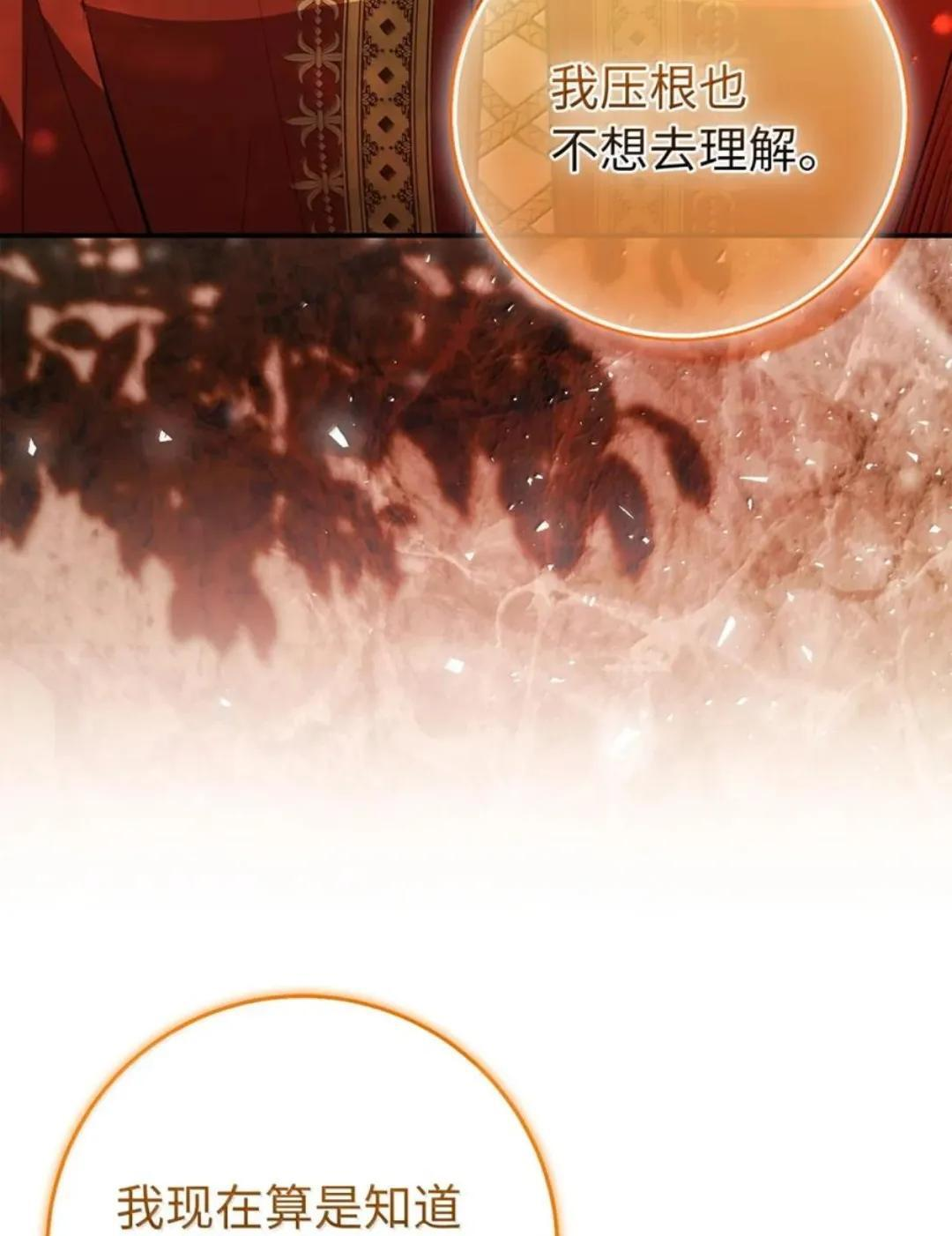 113 不许吼泰尔！ 第79页