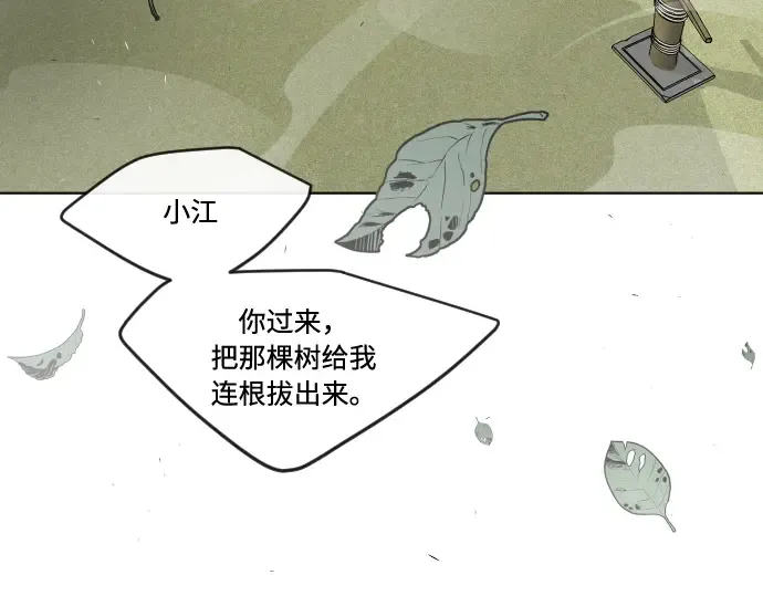 第一季 完结话 第355页
