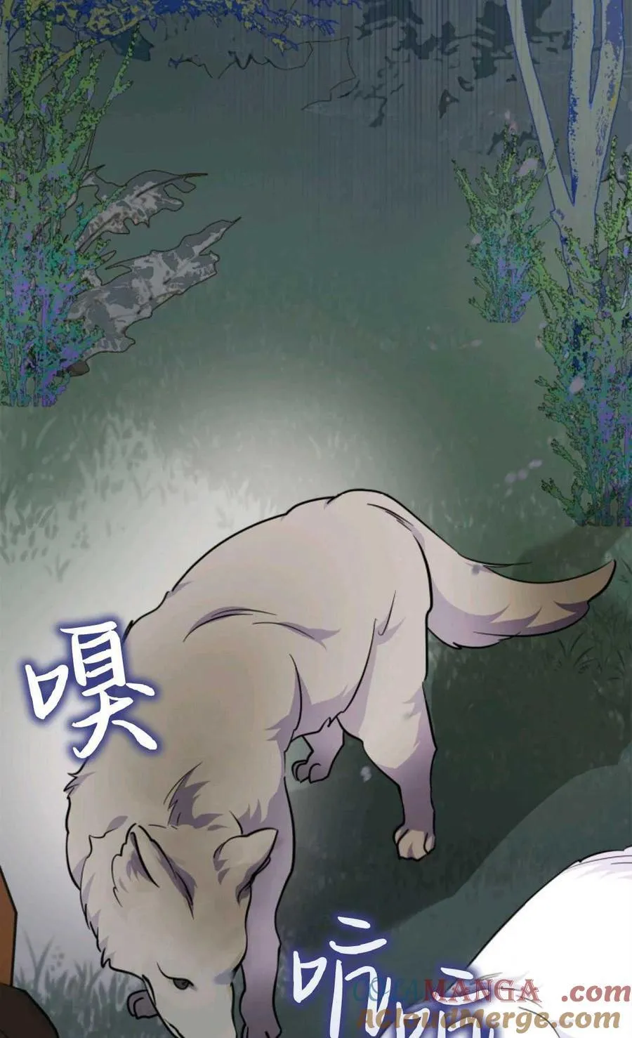 第37话 第79页