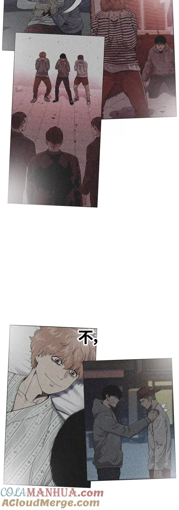 第41话 第19页