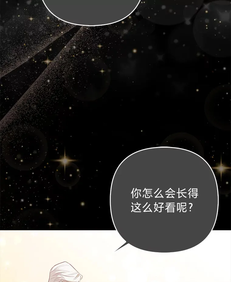 4.我的狐狸 第64页
