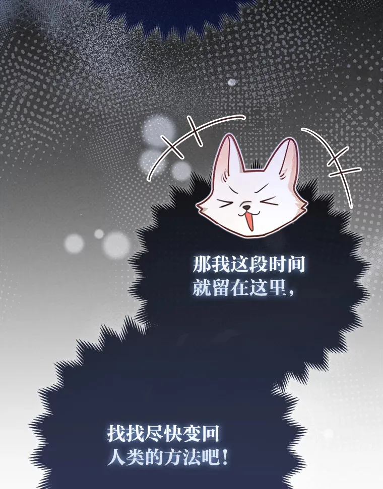 4.我的狐狸 第95页
