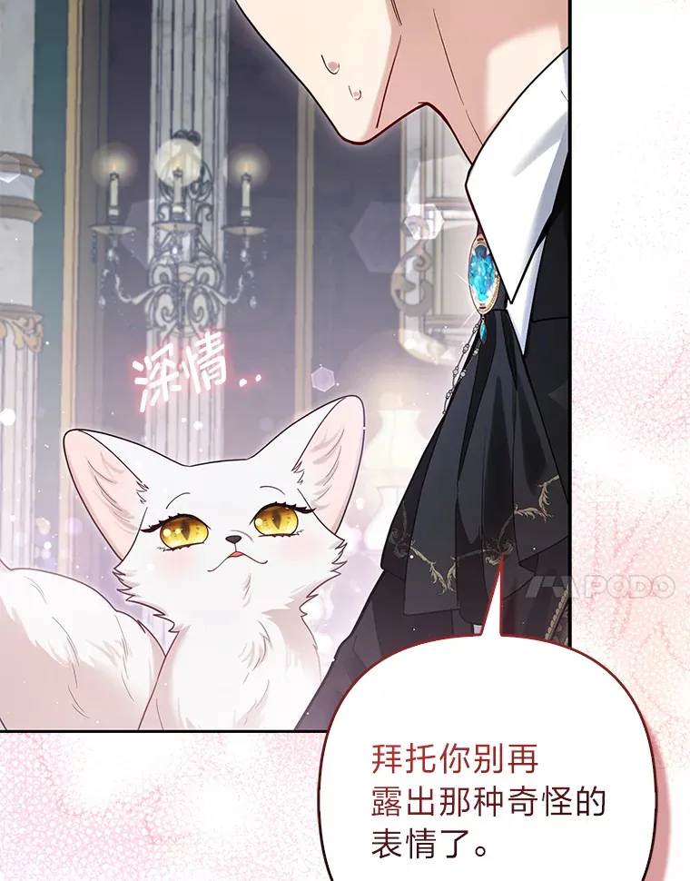 9.化身乖巧小狐狸 第7页