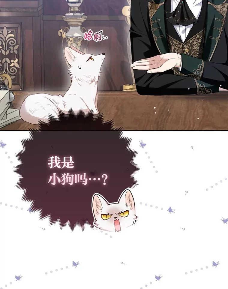 9.化身乖巧小狐狸 第73页