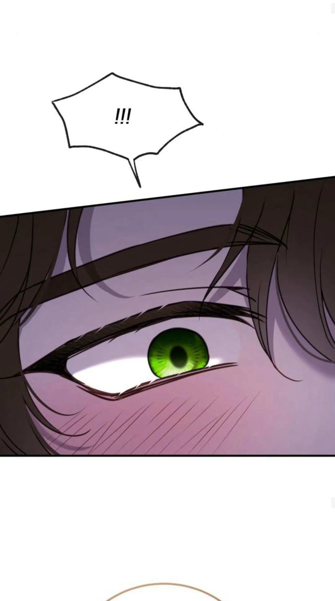 第47话 第51页
