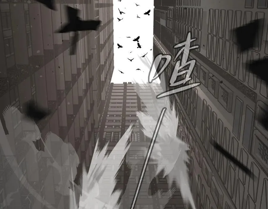 14-全面来袭 第146页