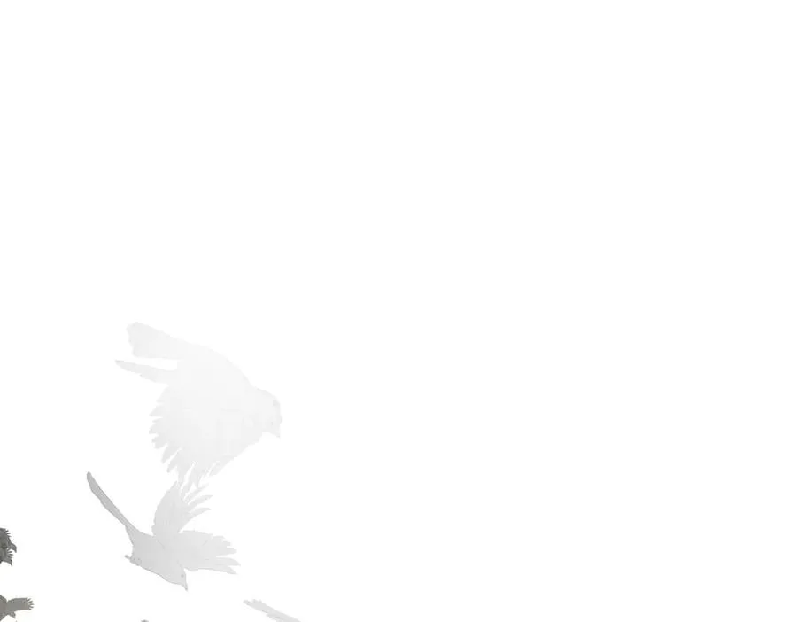 20-温柔的风 第135页