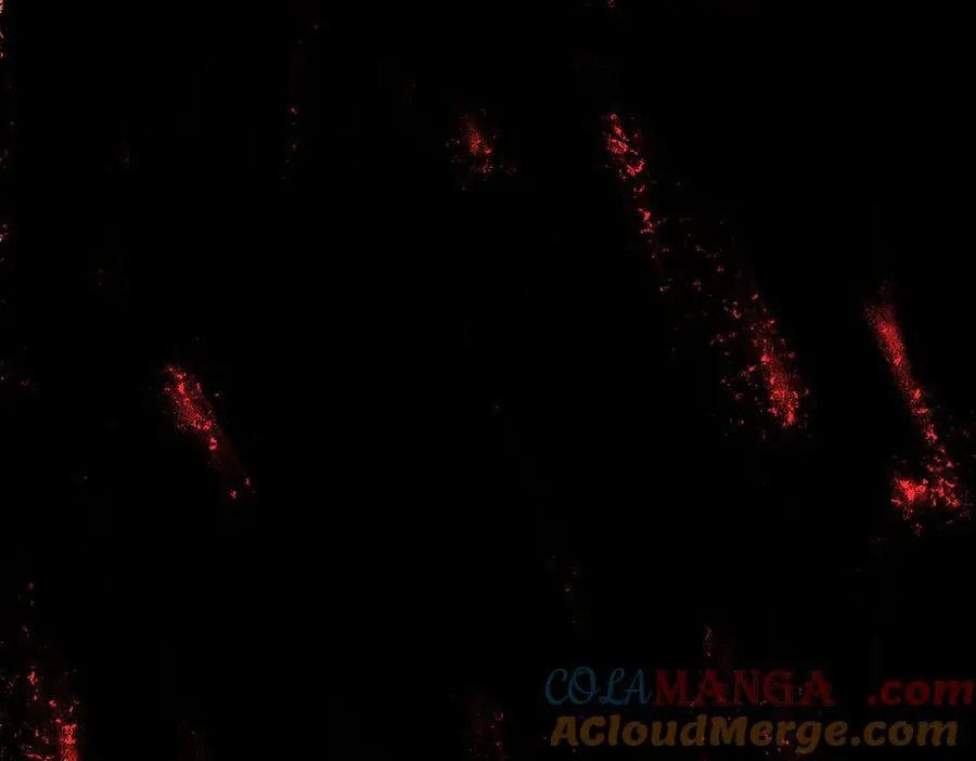 32-优势？劣势？（下） 第229页