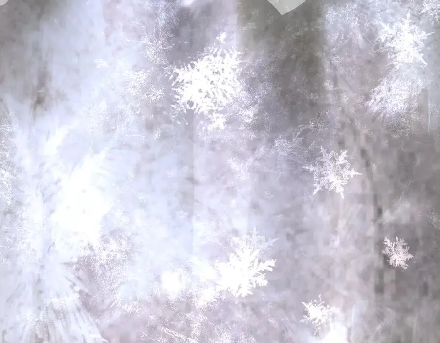 57-12-1 第59页