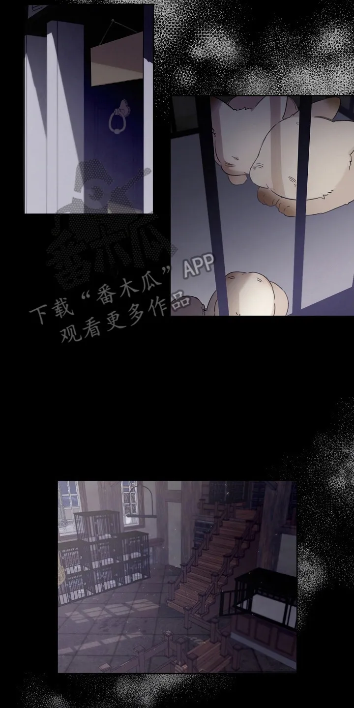第5章：是真的 第2页