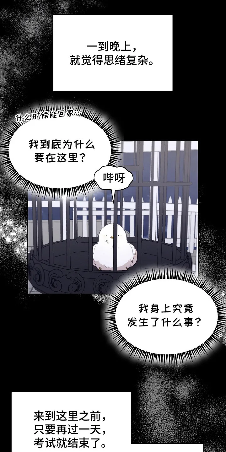 第5章：是真的 第3页