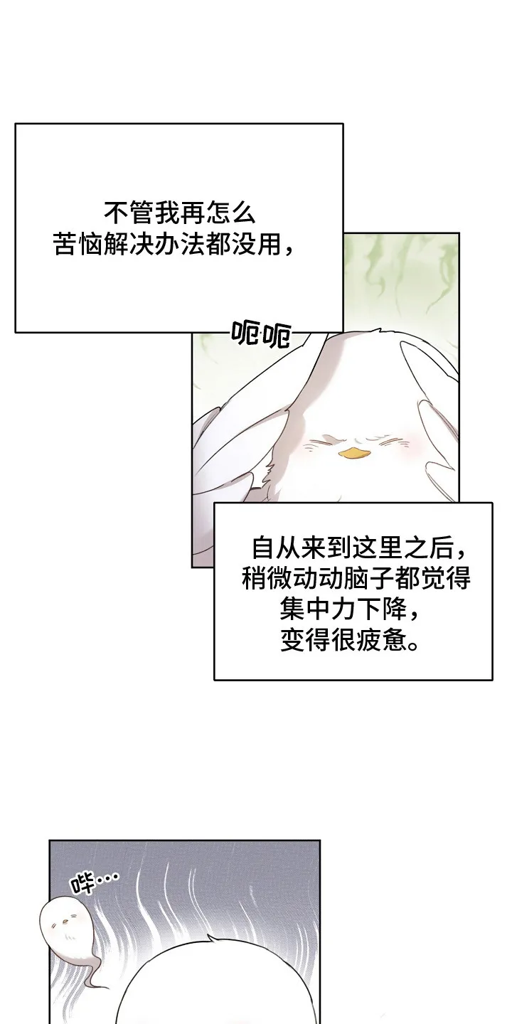 第5章：是真的 第6页