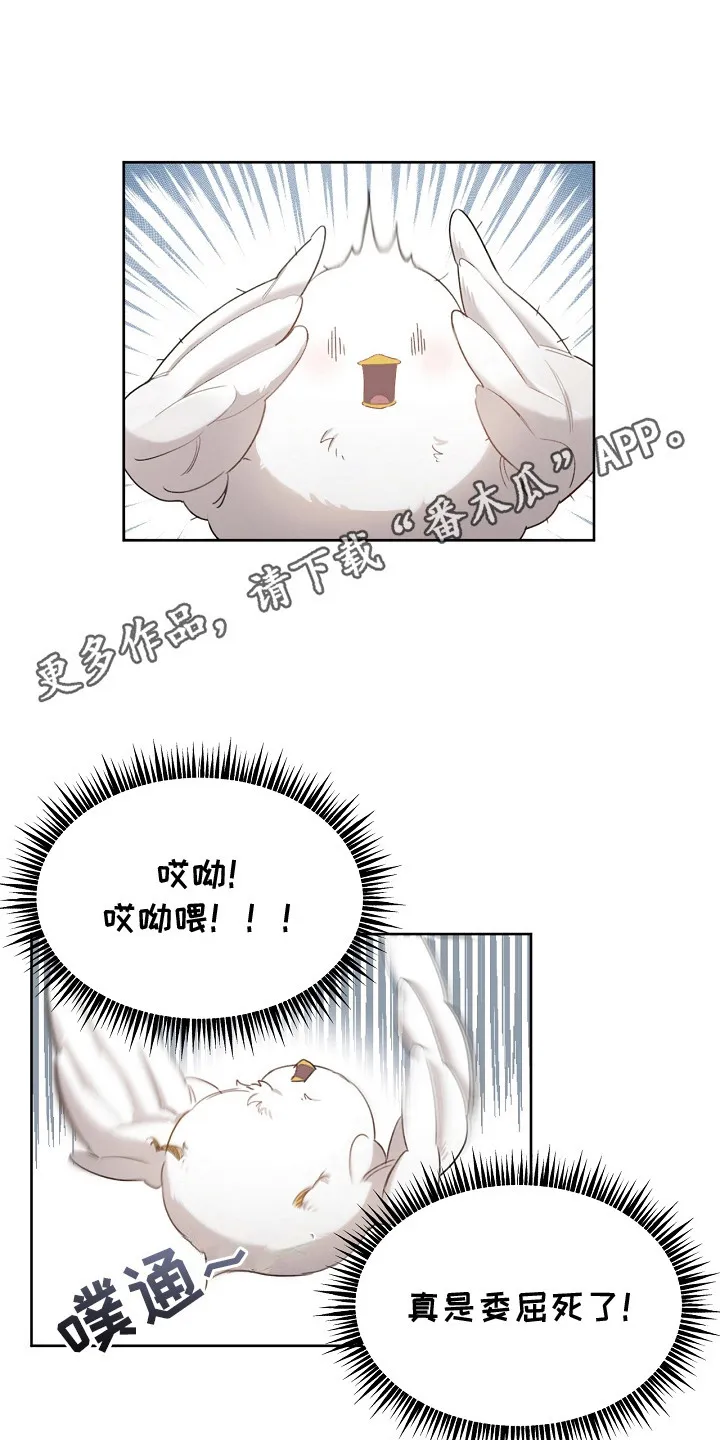 第5章：是真的 第11页