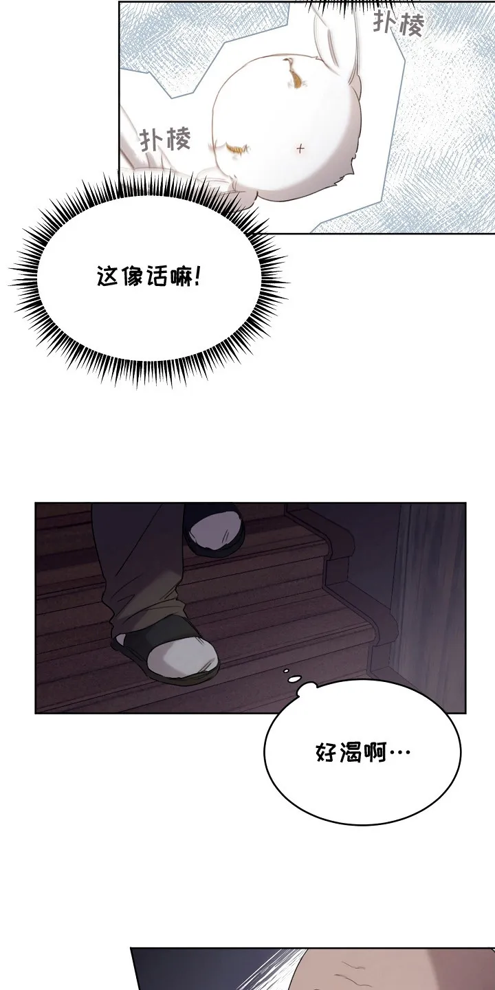 第5章：是真的 第12页