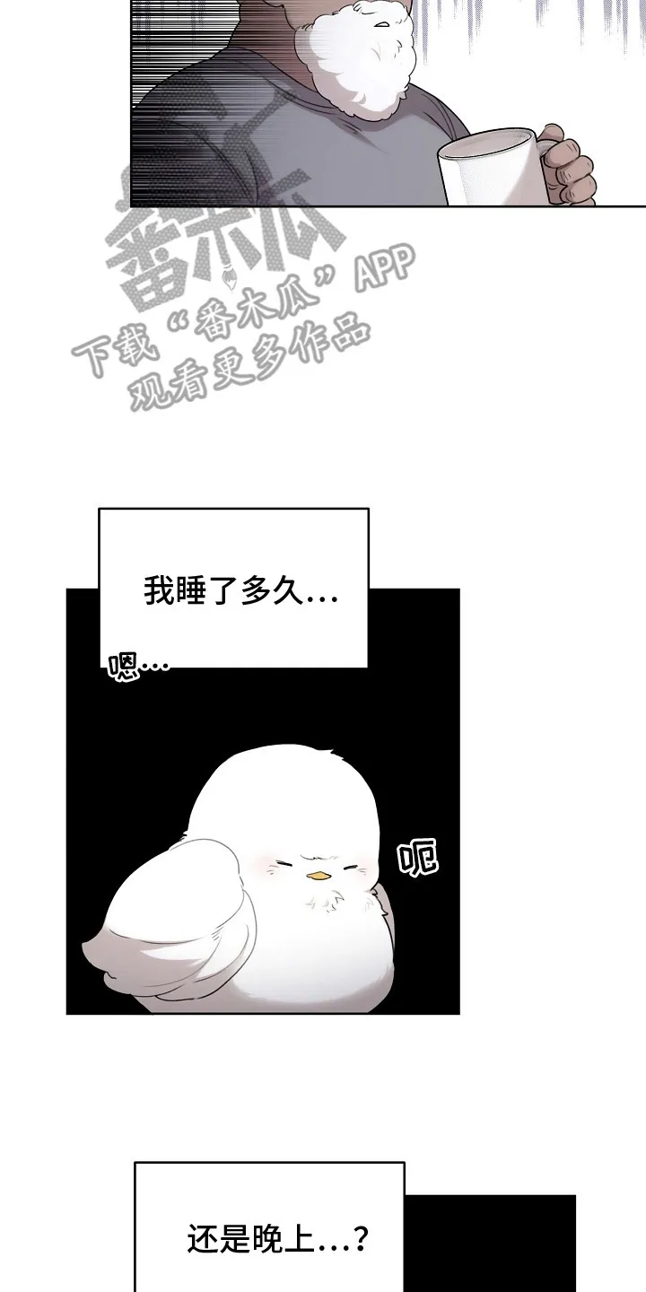 第5章：是真的 第14页