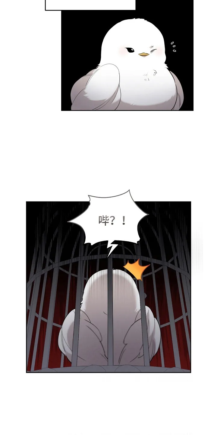 第5章：是真的 第15页